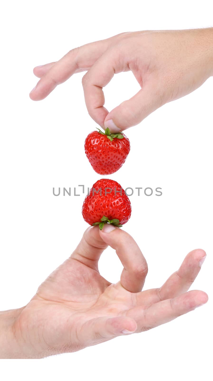 Up and down hands holds a strawberry. White background.