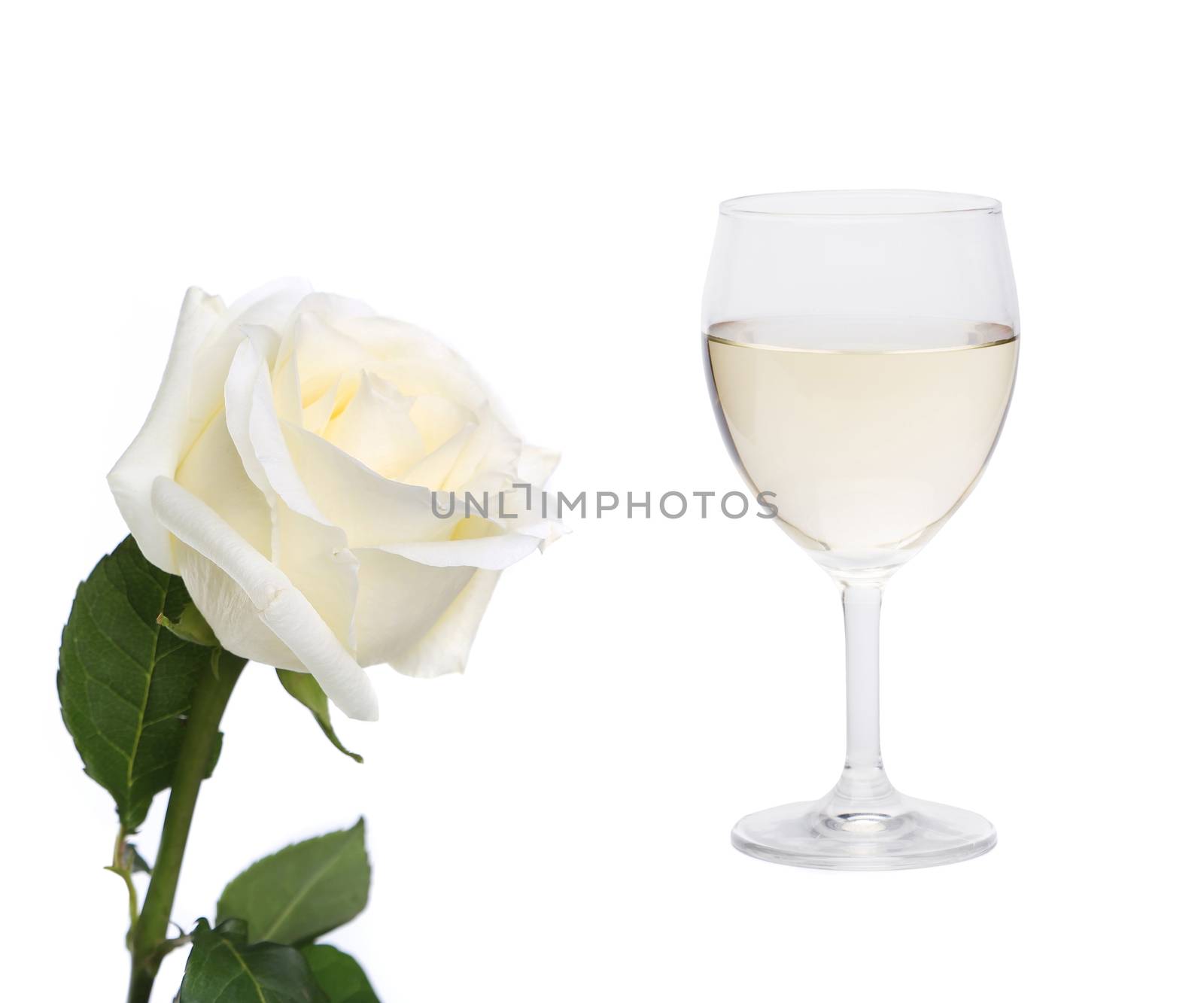 White collage. Rose and glass of wine. White background.