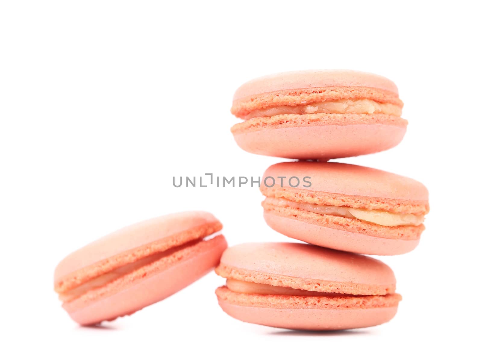 Four pink macaron cakes. Cose-up. White background