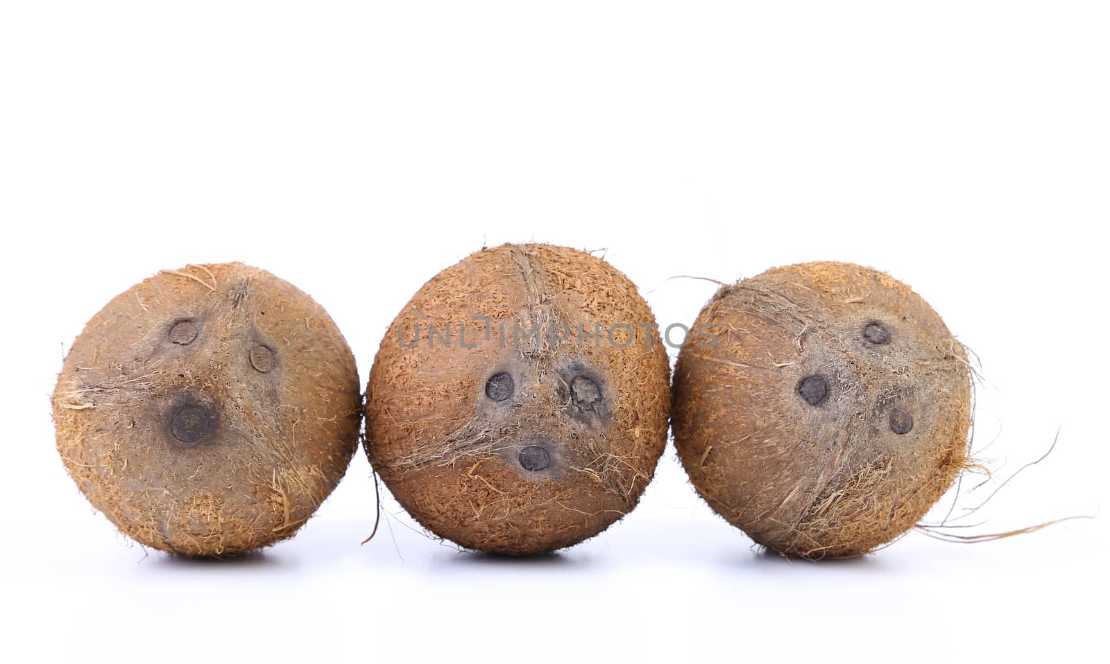 Three coconuts isolated on a white background