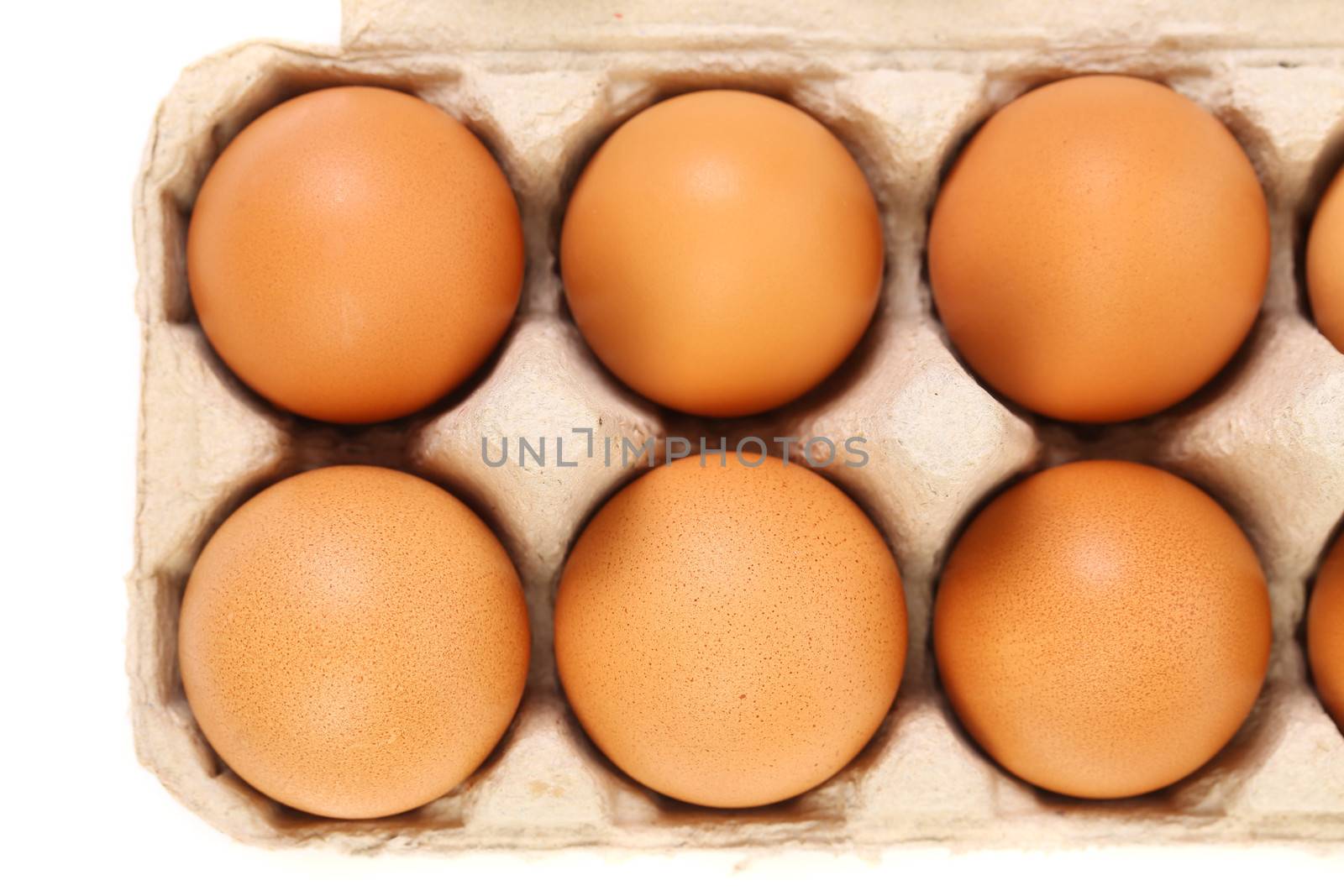 Sex brown eggs in egg box. Isolated