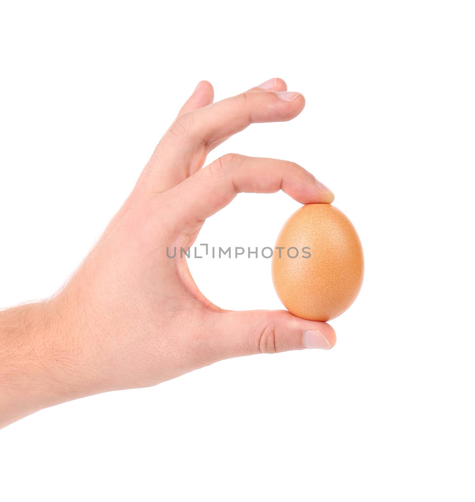 Man hand holds a  delicate egg isolated on a white