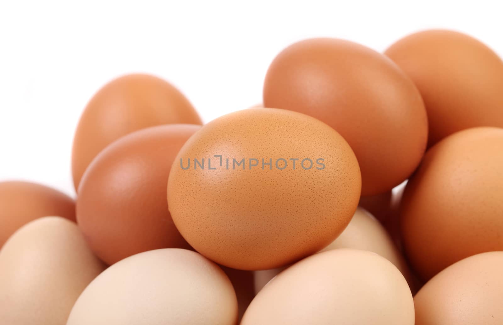 Several eggs isolated on a white background