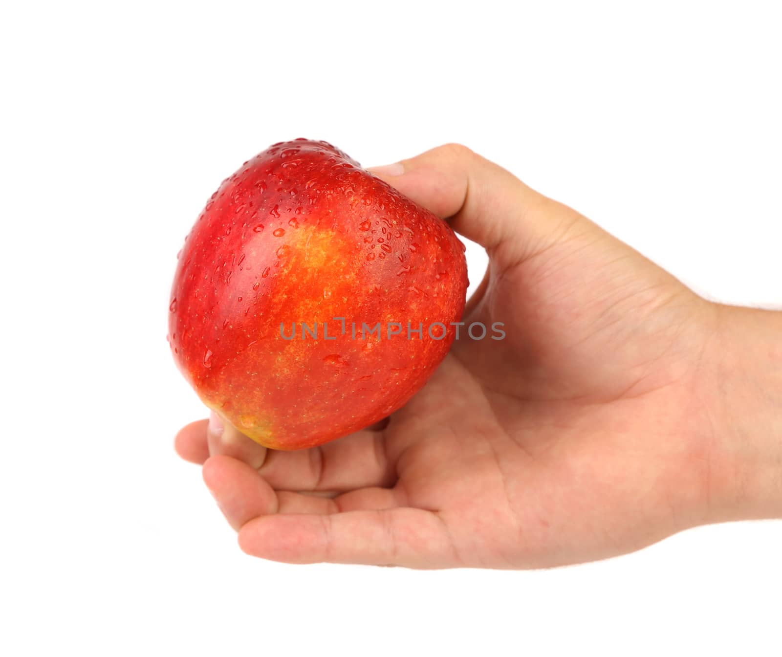 Hand holding a red apple with water dropets