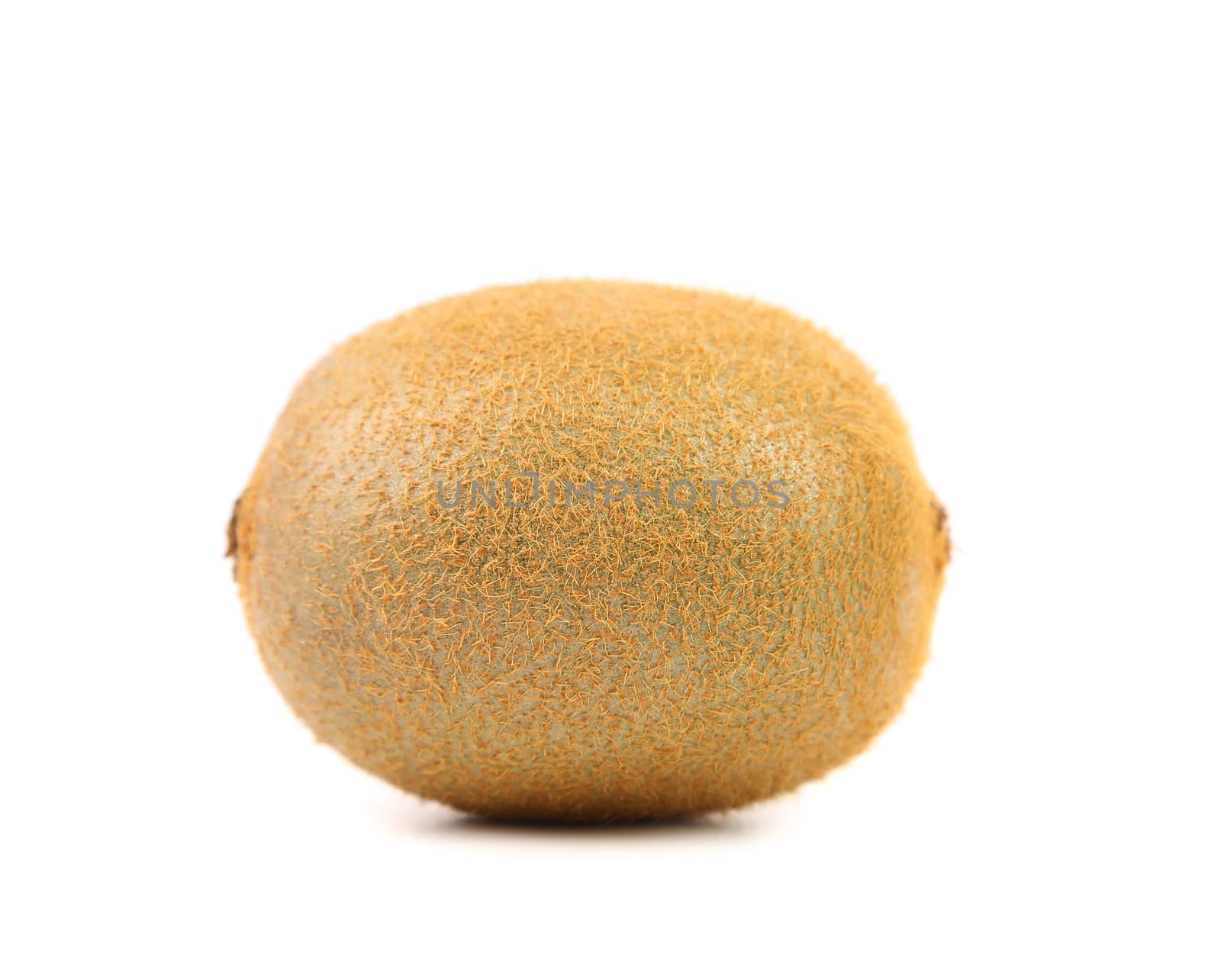 Kiwi fruit isolated on a white background