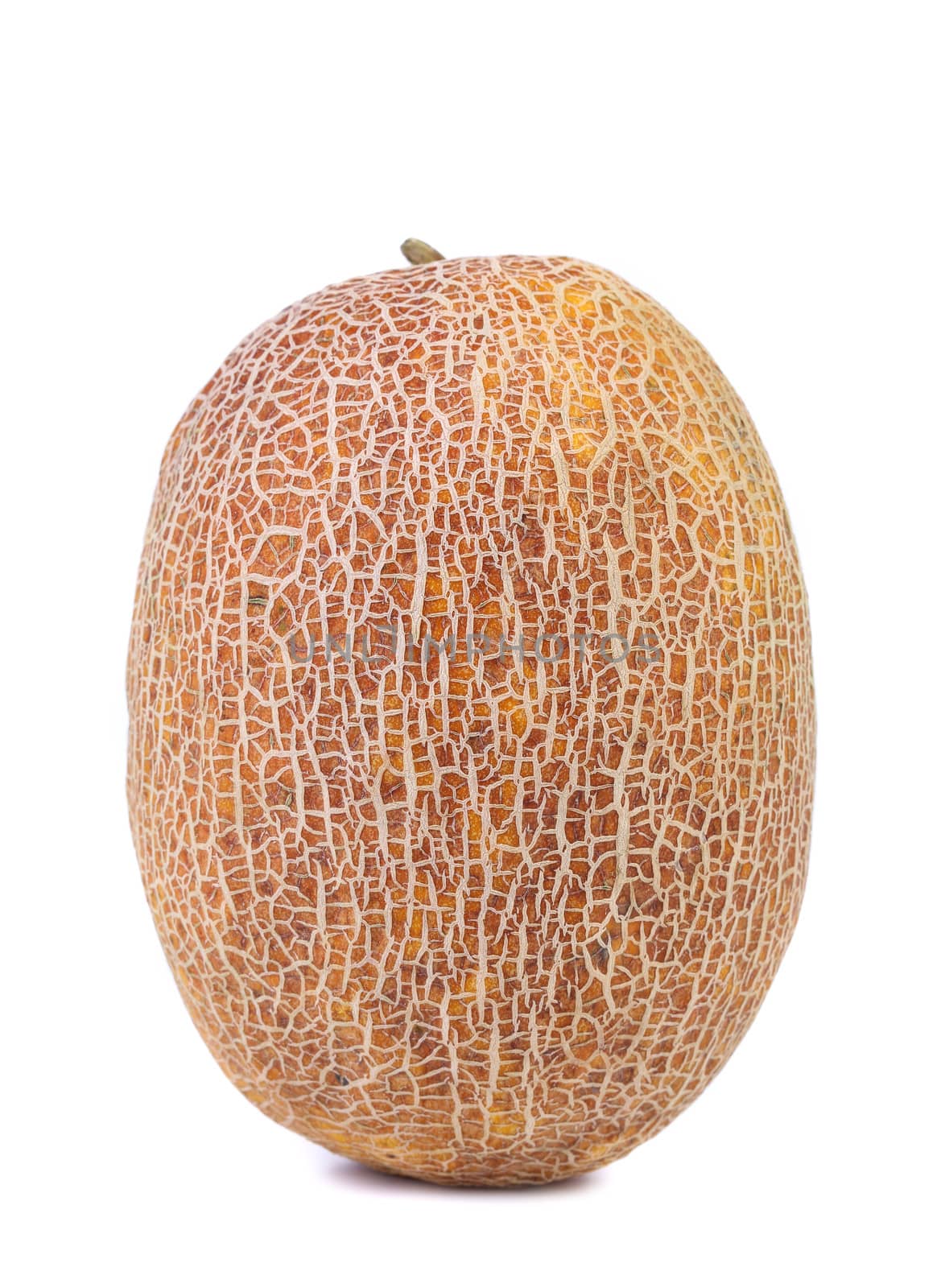 Ripe melon isolated on a white background