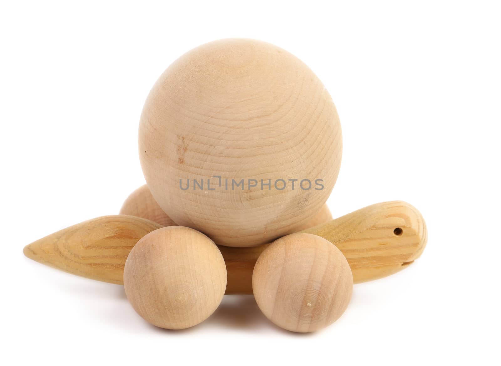 Turtle symbolizes that need hurry slowly. Close up.