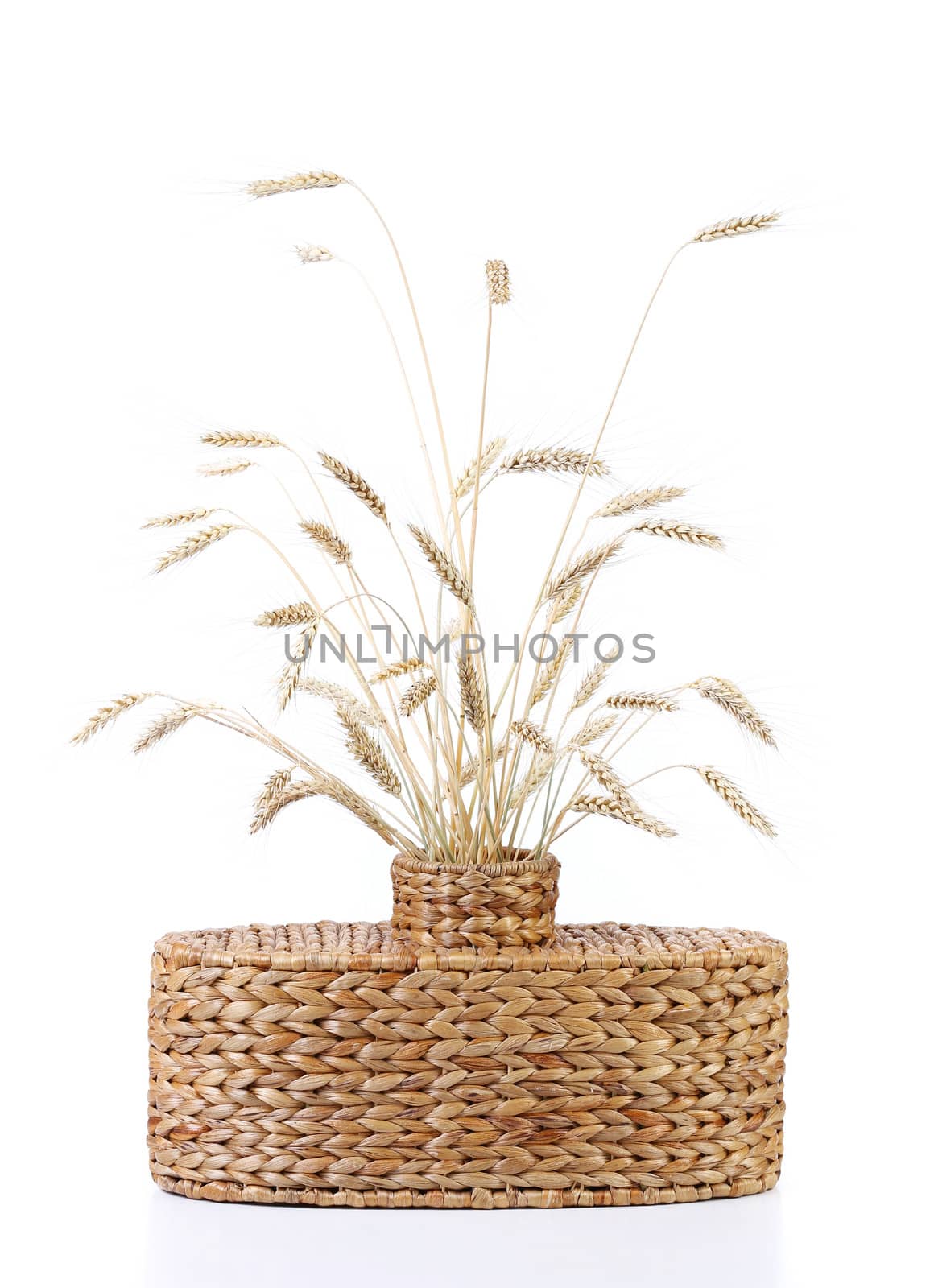Wicker vase with ears of wheat isolated on white