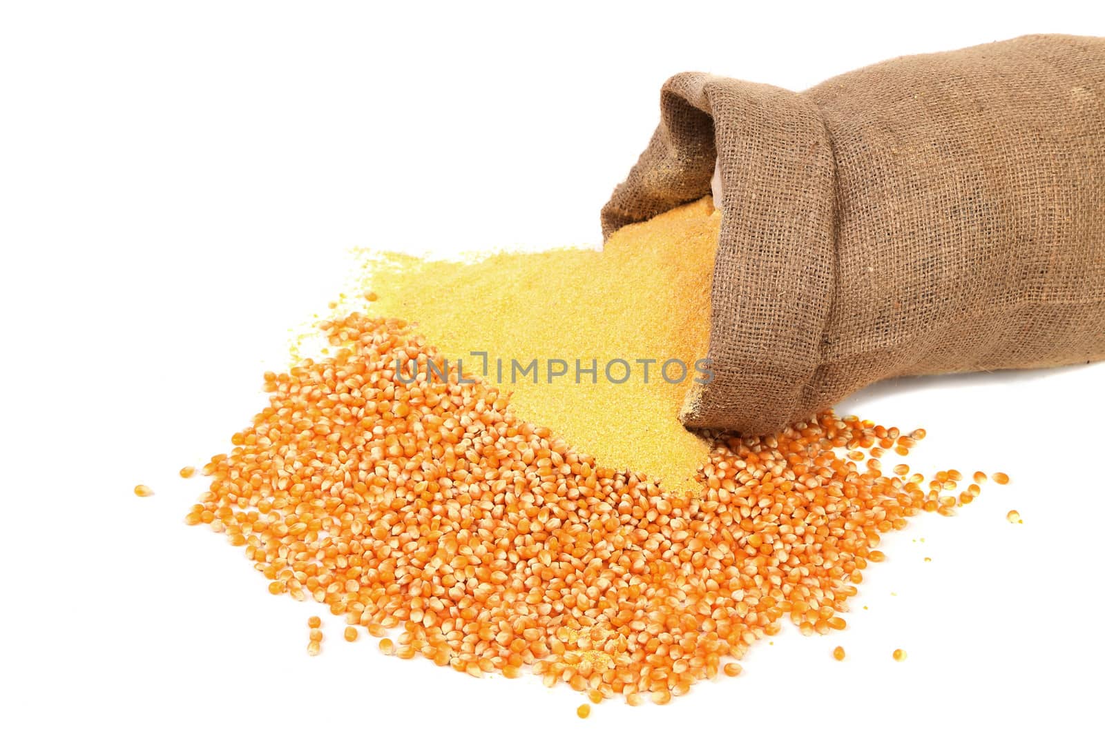 Corn meal and grain in bag isolated on a white background.