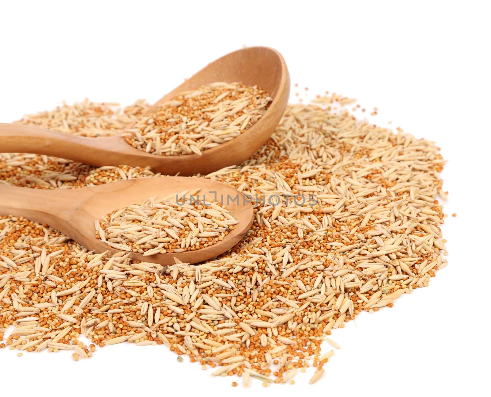 Wooden spoon and assorted seed for exotic birds. Isolated on a white background.