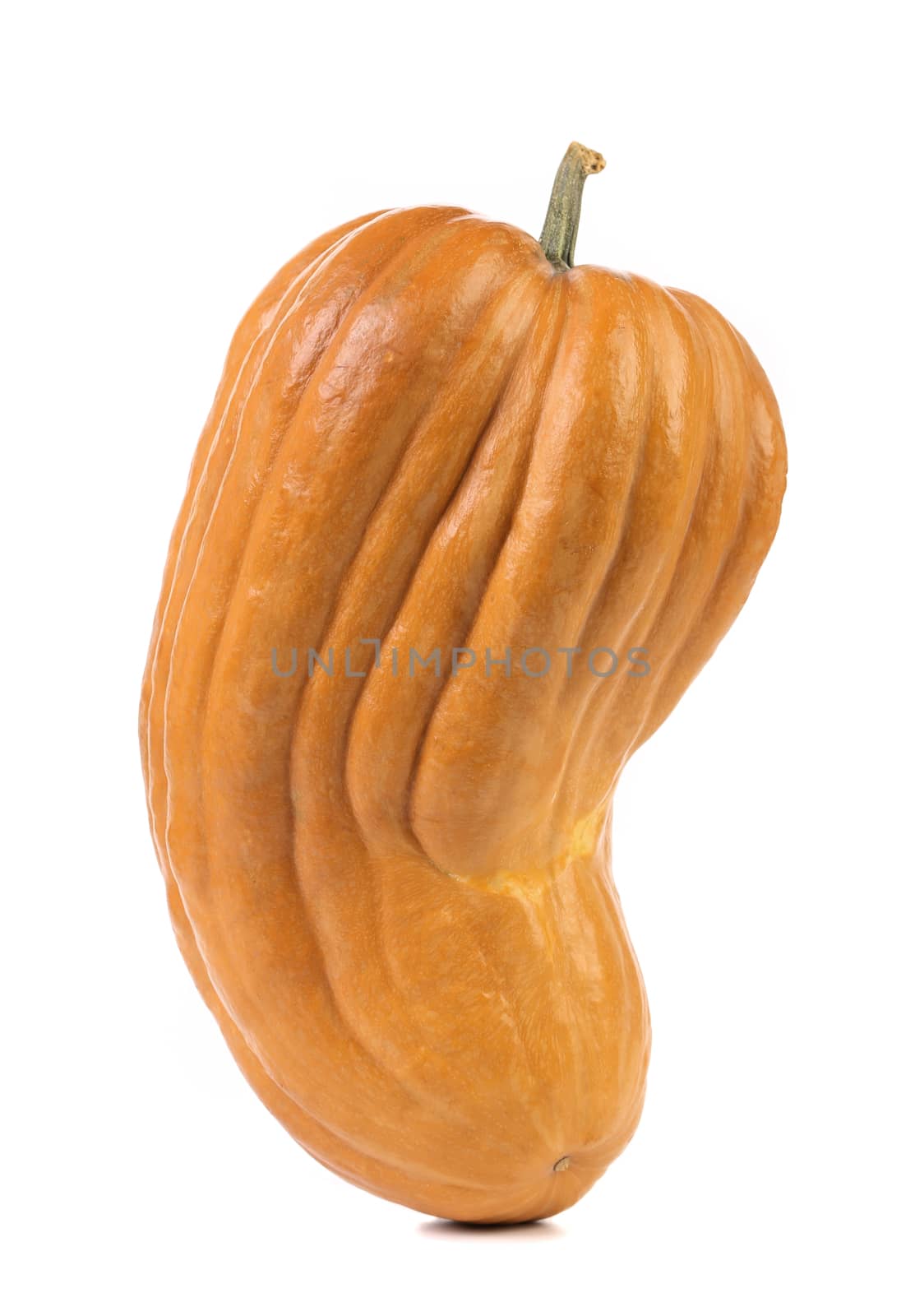 Fresh orange pumpkin isolated on a white background