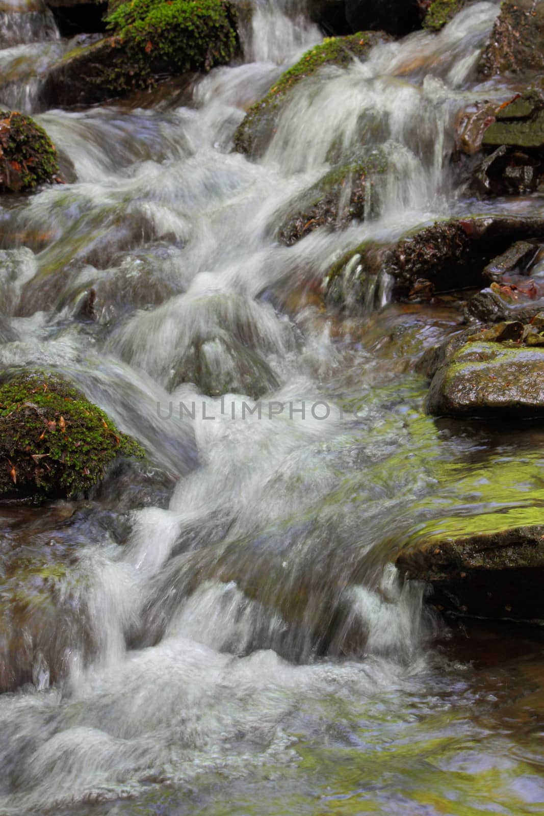 view on brook in mountains