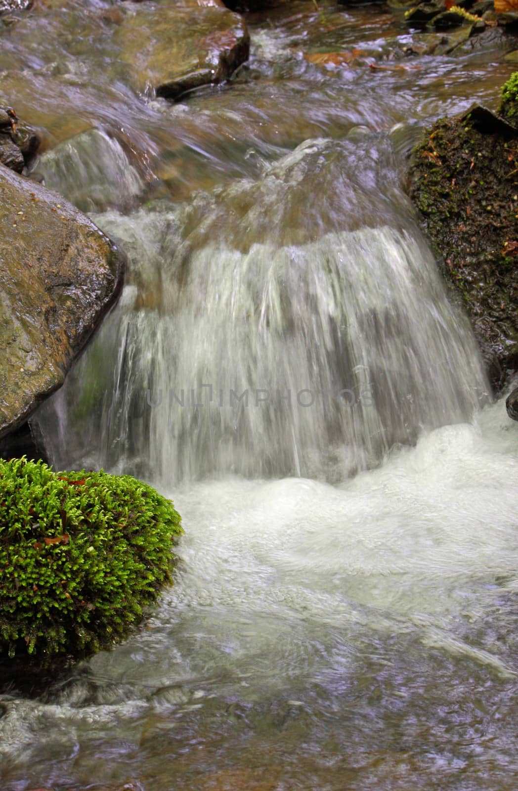 small waterfall on a brook
