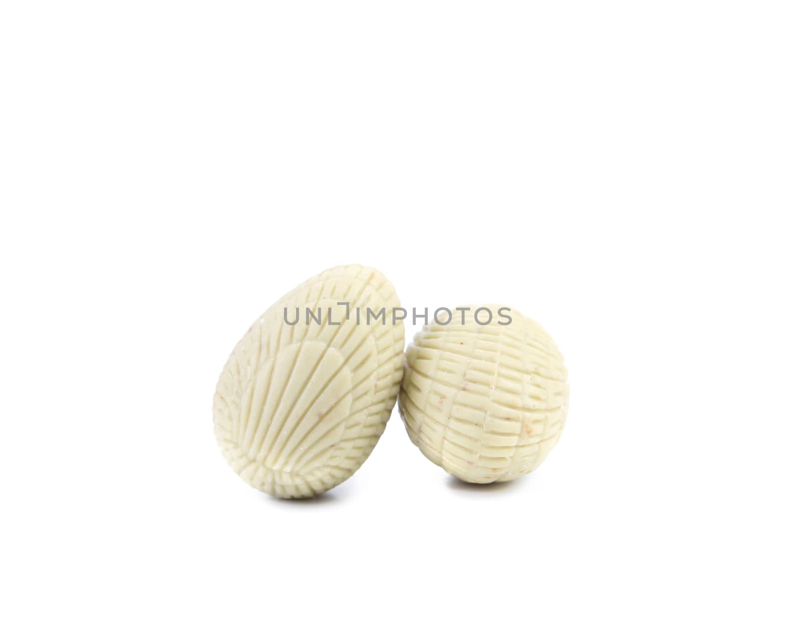 Two white chocolate seashell. Isolated on a white background