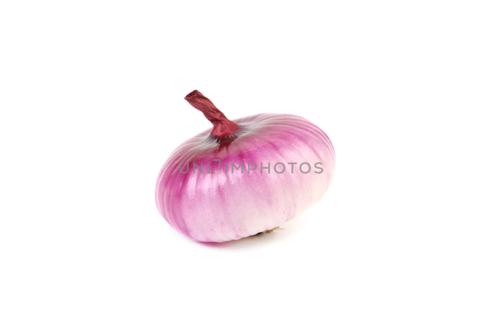 Small red onion. Isolated on a white background