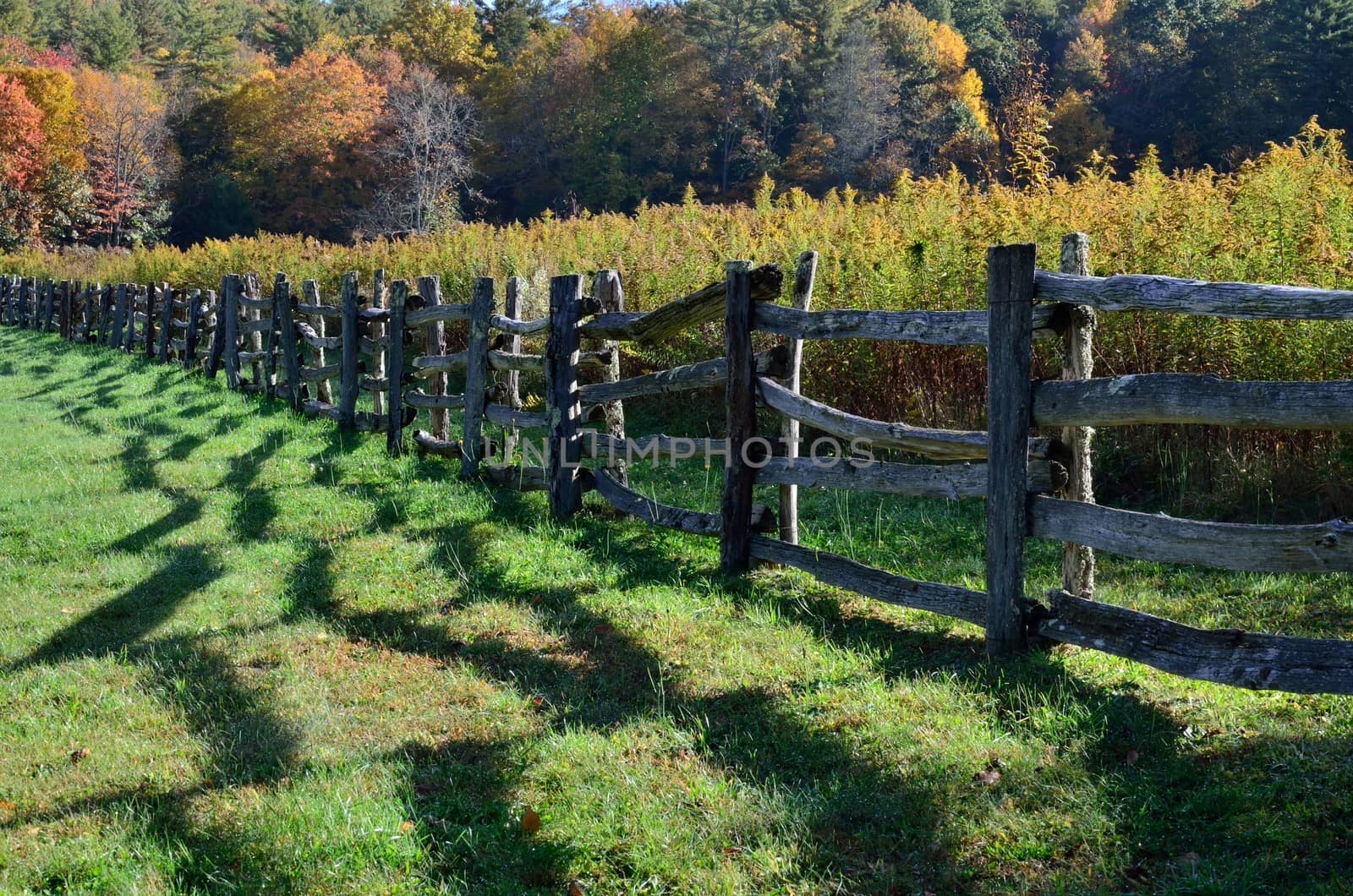A rail fence along the countryside casts squiggly shadows in the early fall morning light