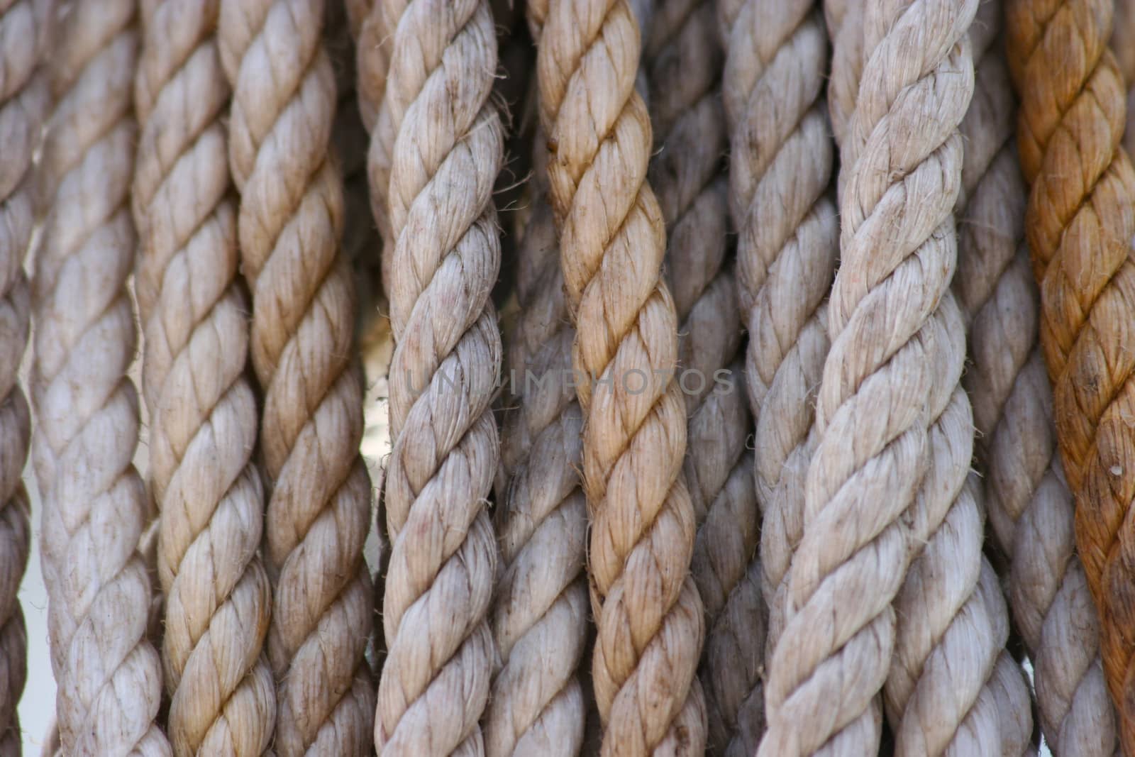 Several old ropes white and yellow
