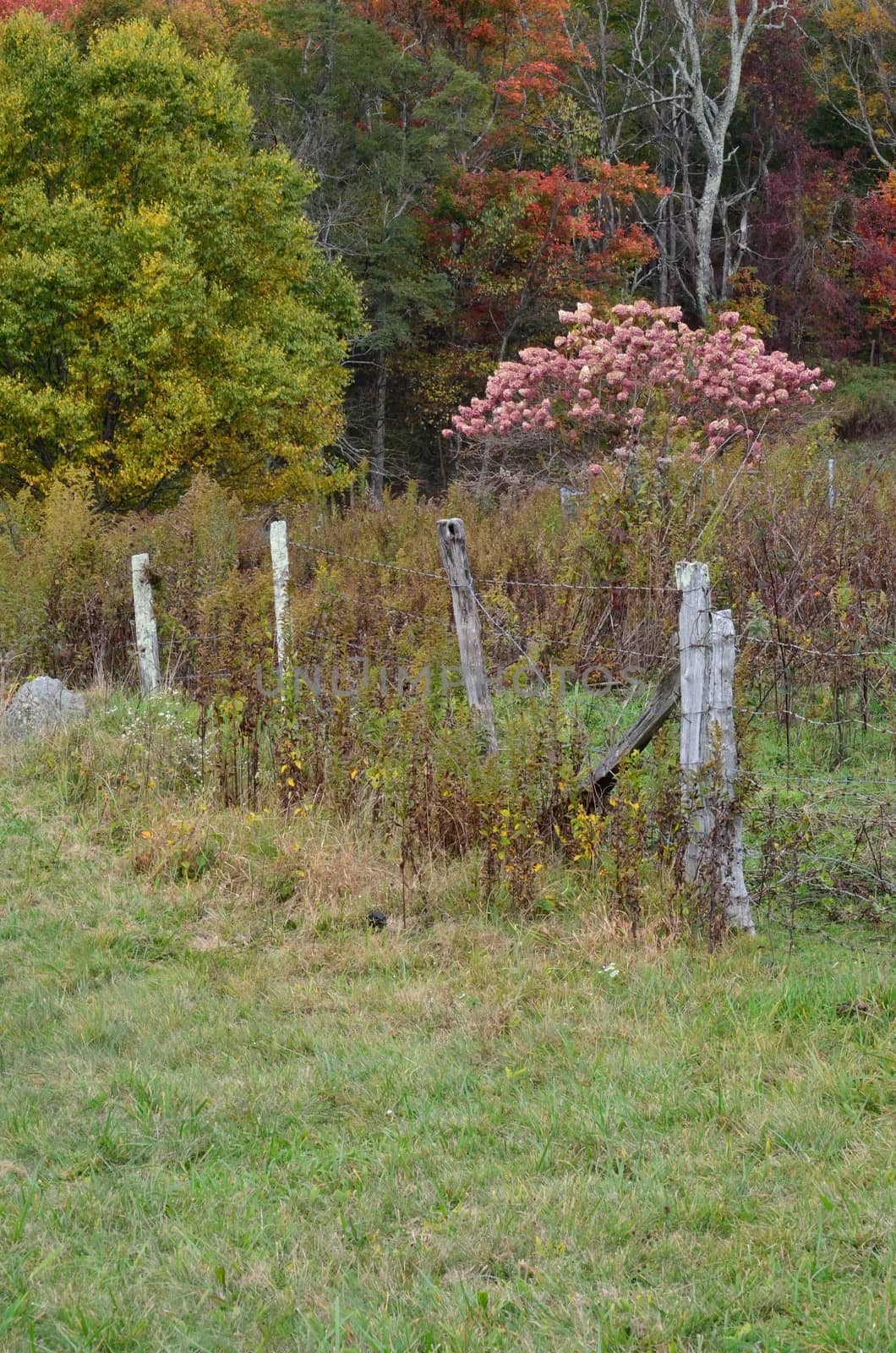 Fall countryside by jackie@debuskphoto.com