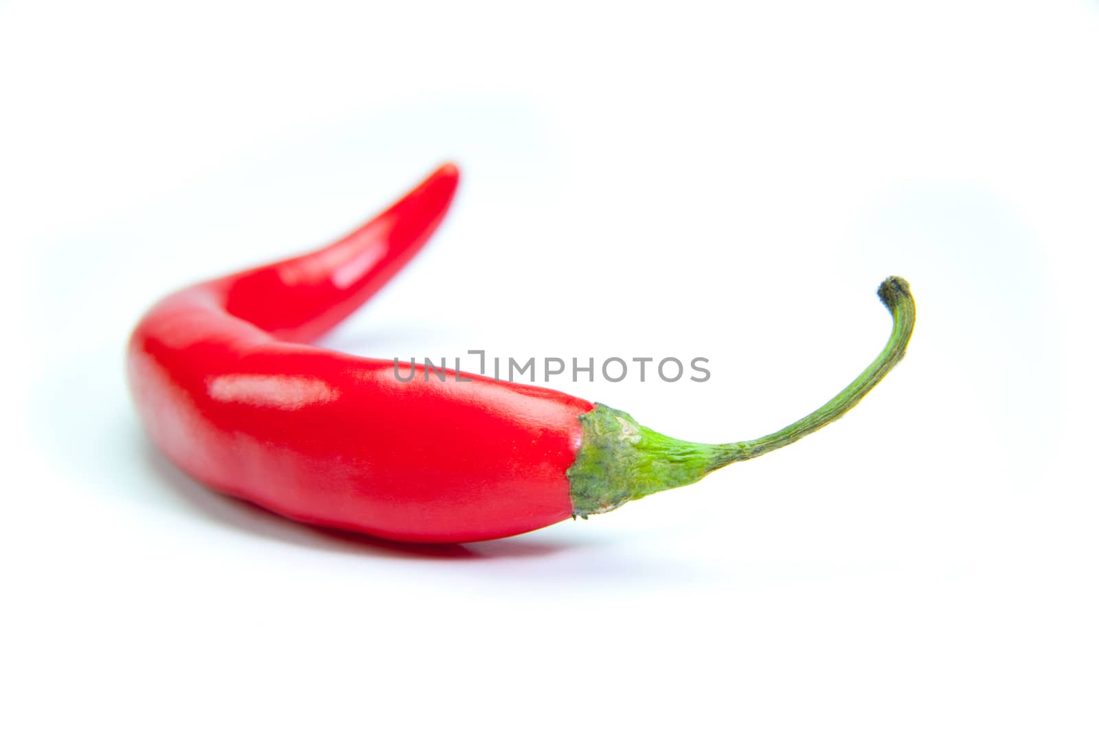 Red hot chili pepper on white background