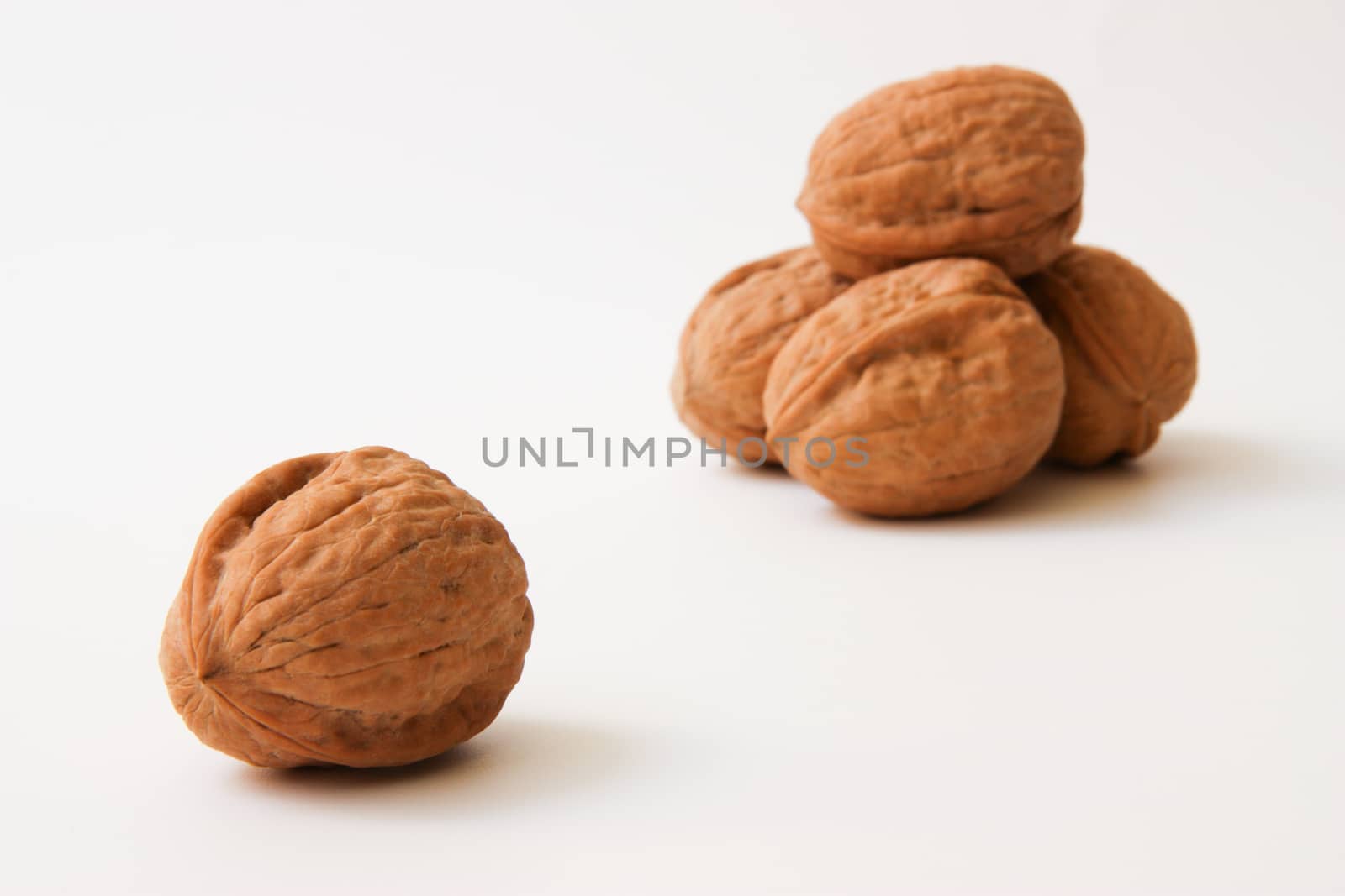 Walnuts on white background