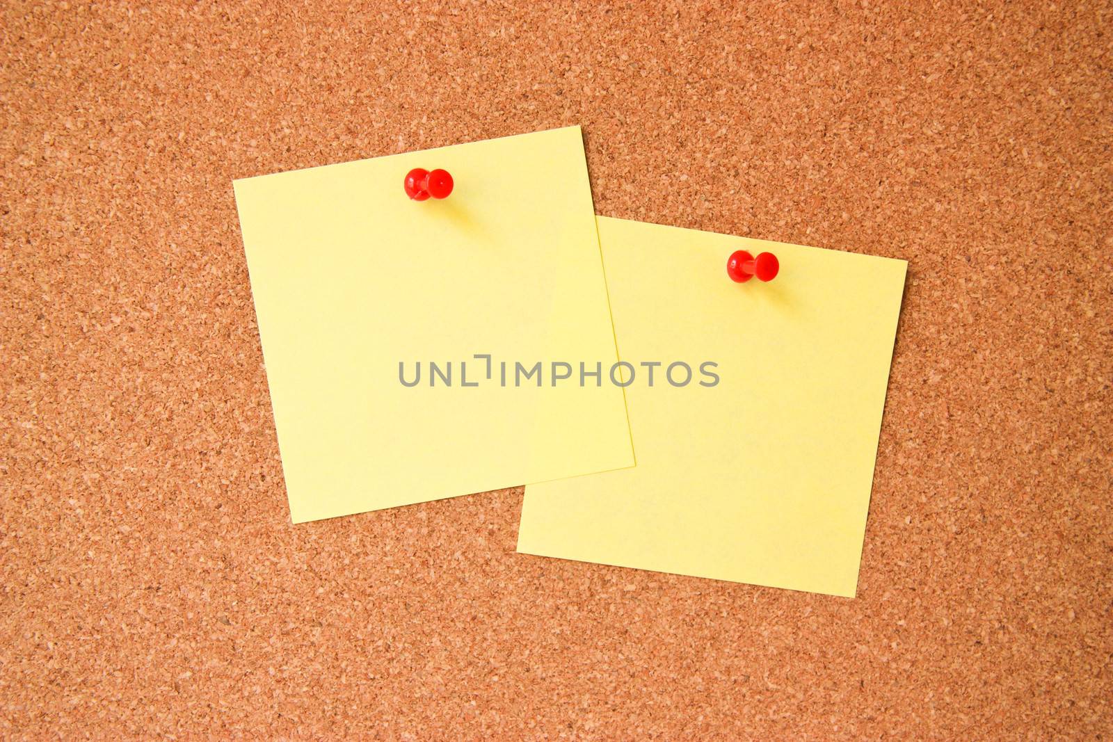 Corkboard with two yellow notes