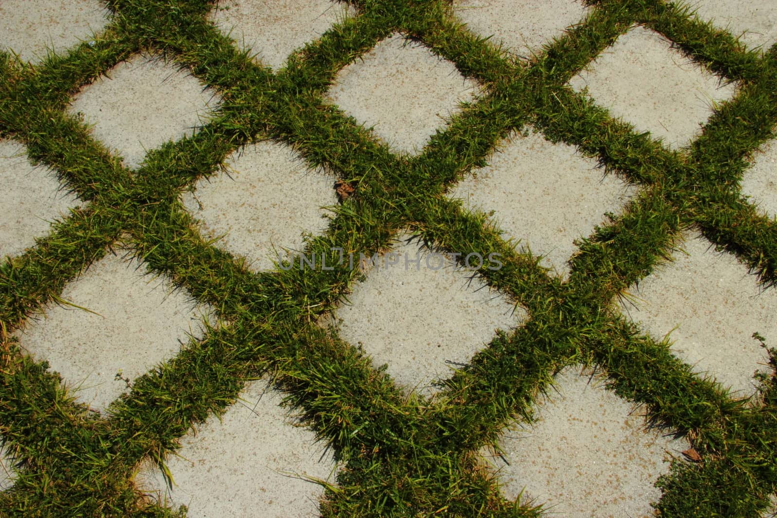 Background. lawn around the tiles by Metanna