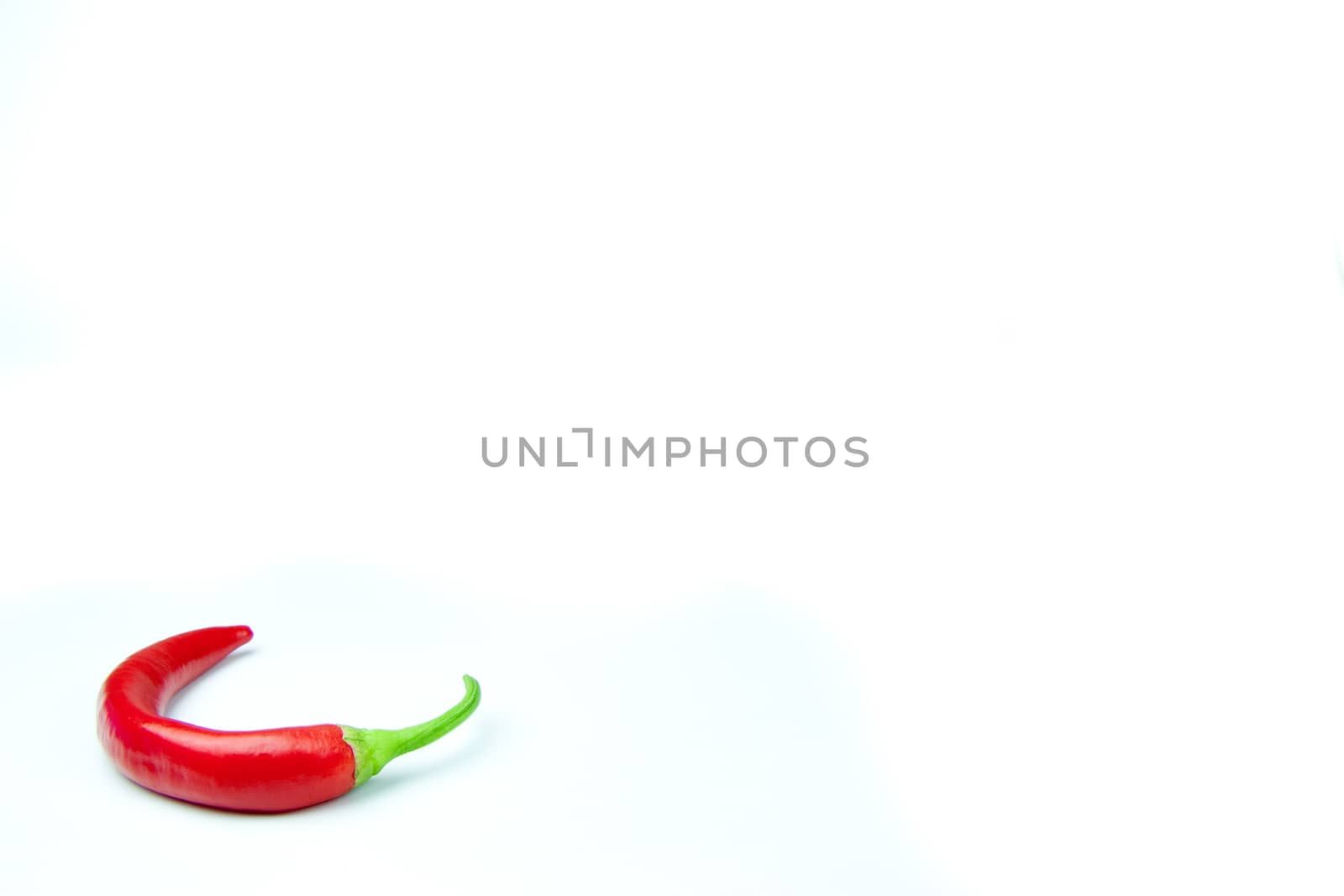 Red hot chili pepper on white background