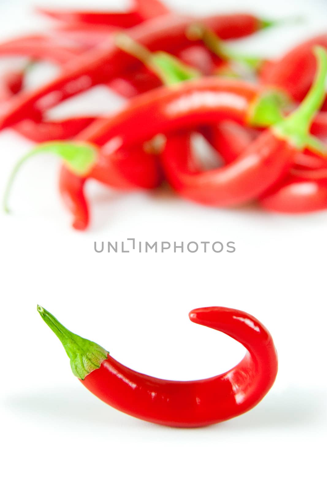 Red hot chili pepper on white background