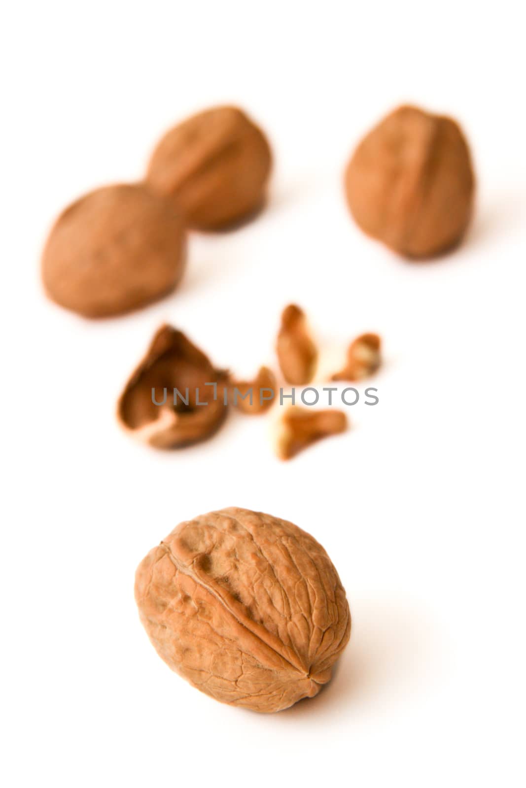 Walnuts on white background
