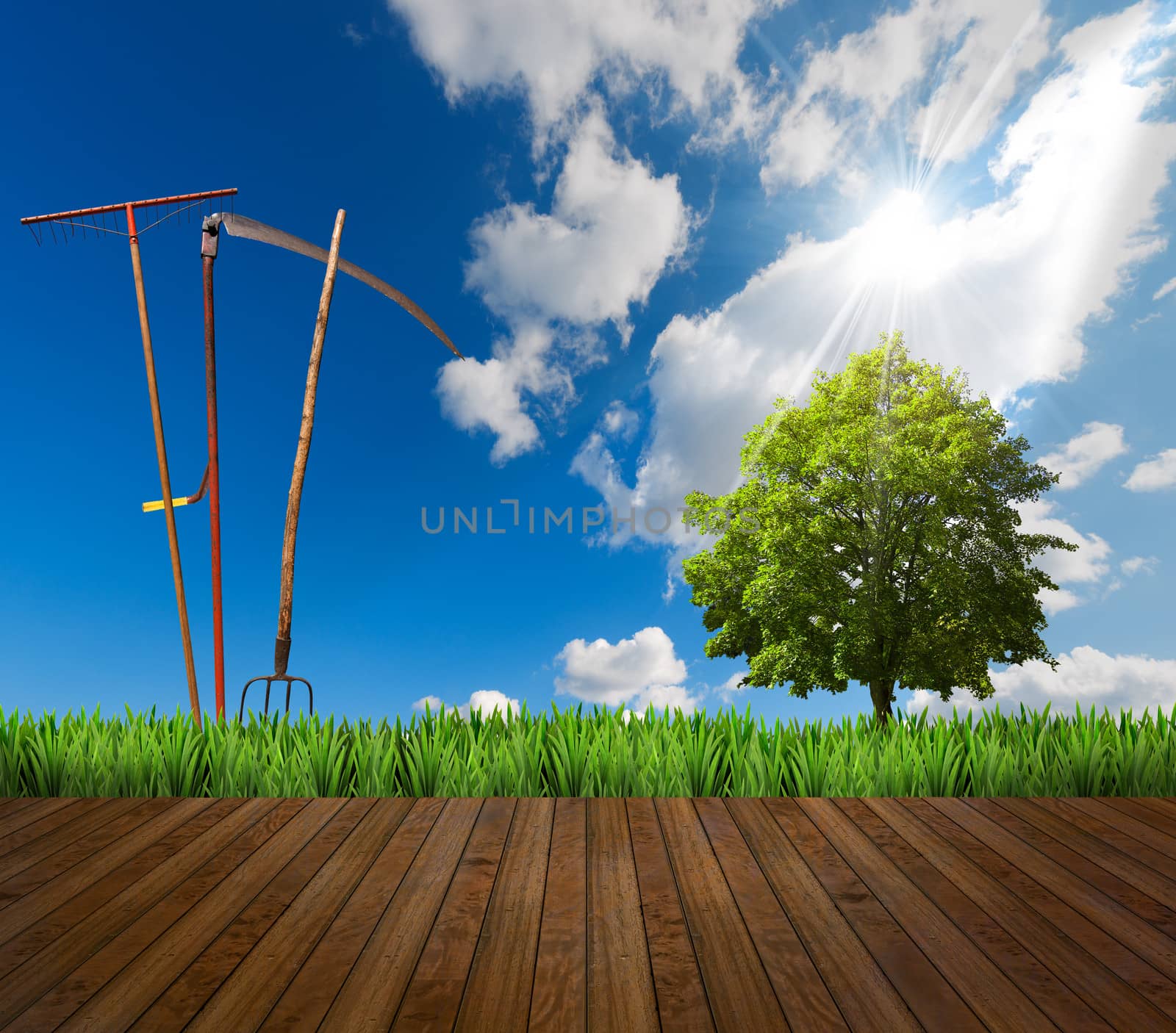 Agricultural landscape and wooden floor with grass, green tree, rake, scythe and pitchfork