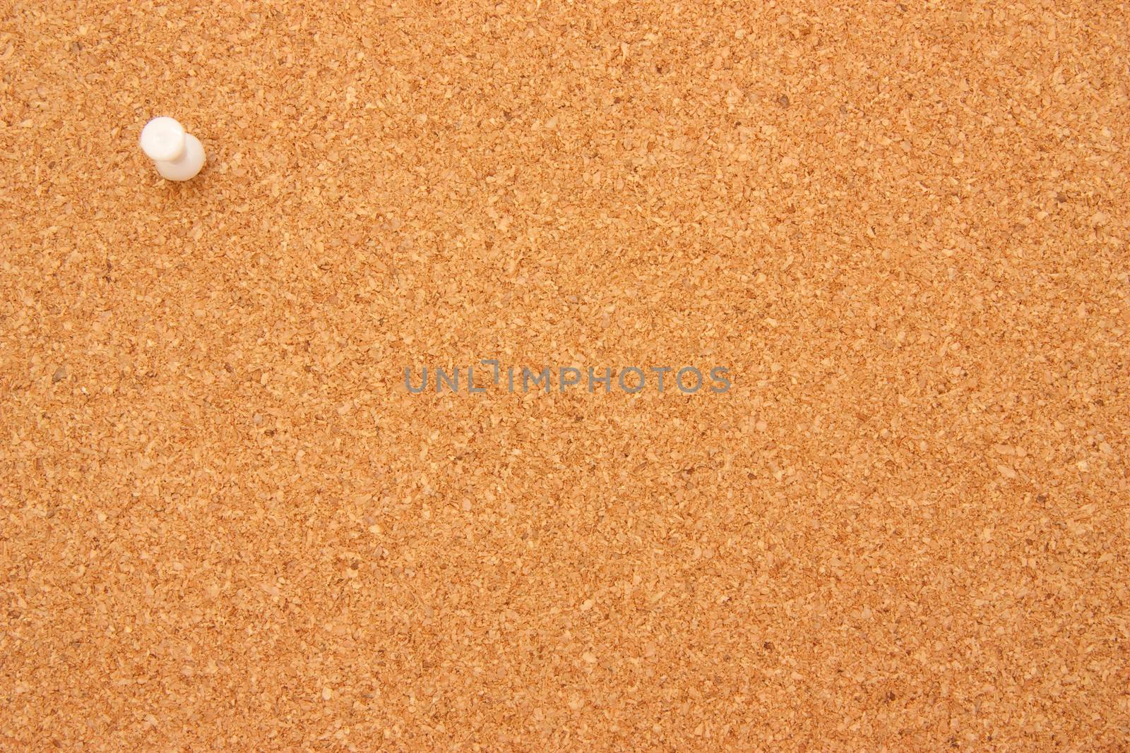 Corkboard with single white pushpin