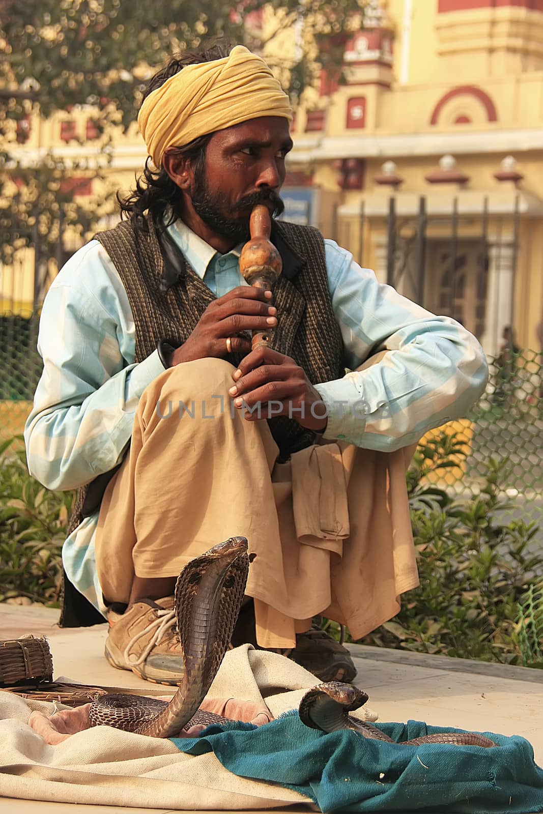 Snake charmer in the streets of New Delhi by donya_nedomam