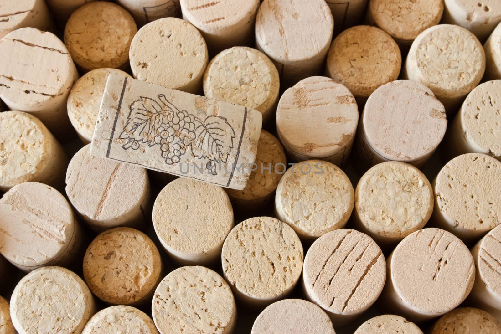 Wine cork background by evdayan