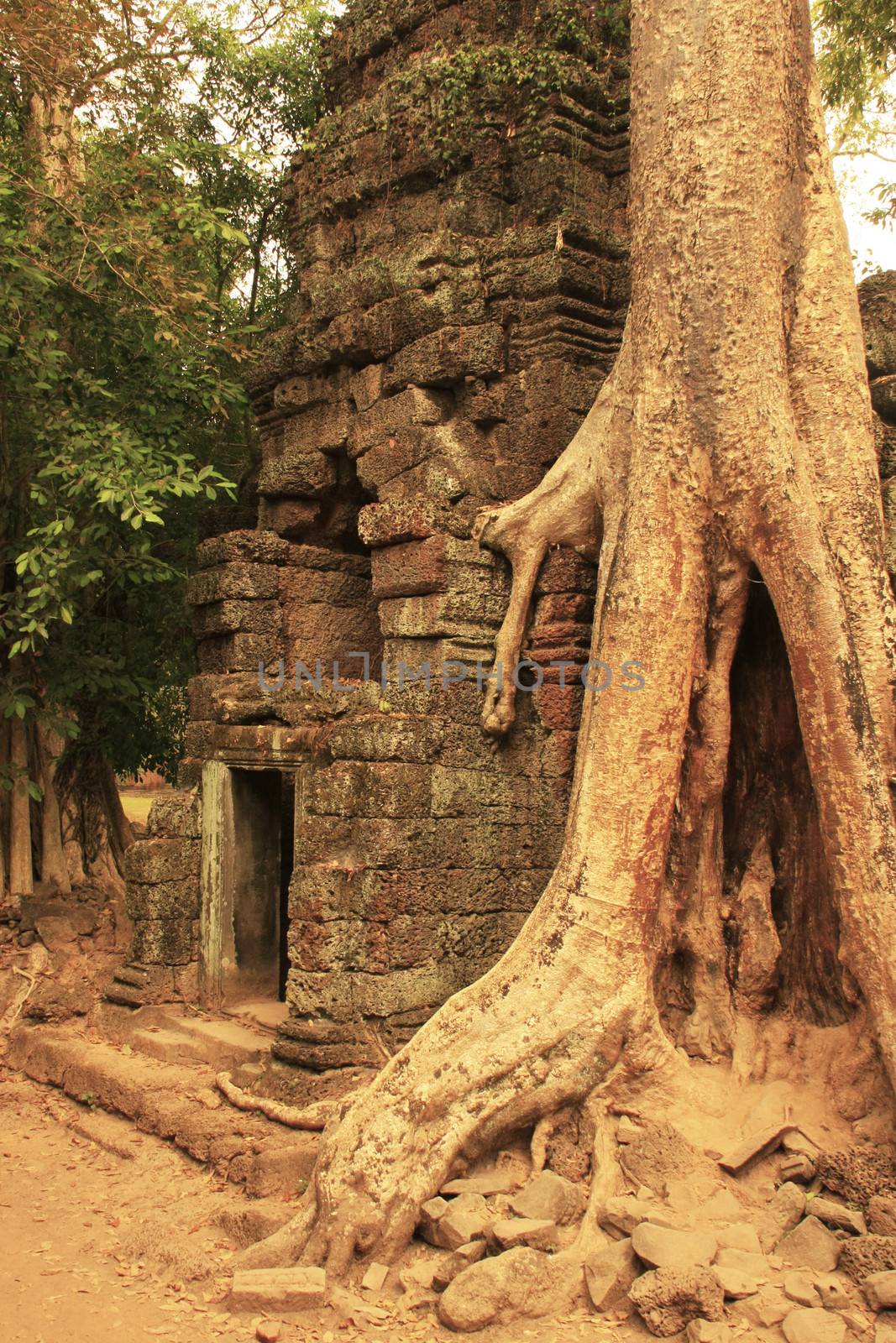 Ta Promh temple, Angkor area, Siem Reap by donya_nedomam