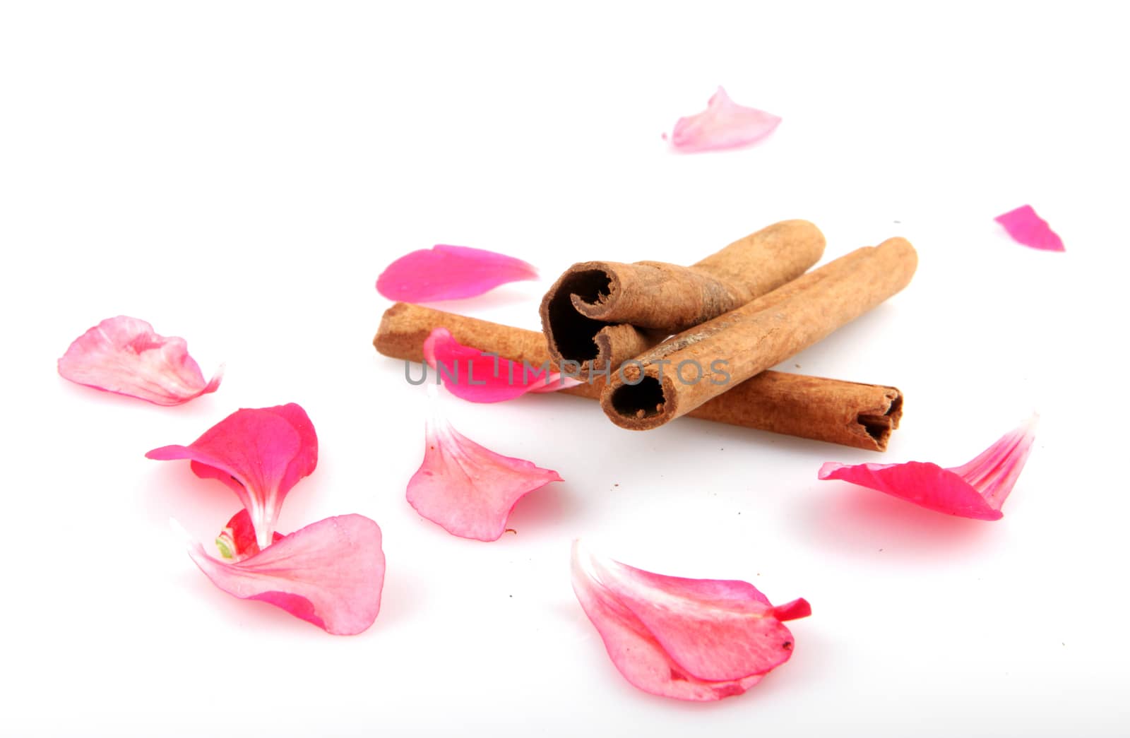 Cinnamon Isolated On White