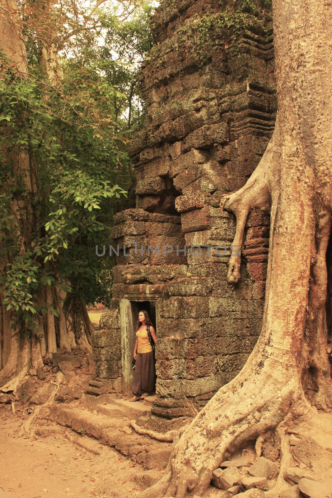 Ta Promh temple, Angkor area, Siem Reap, Cambodia