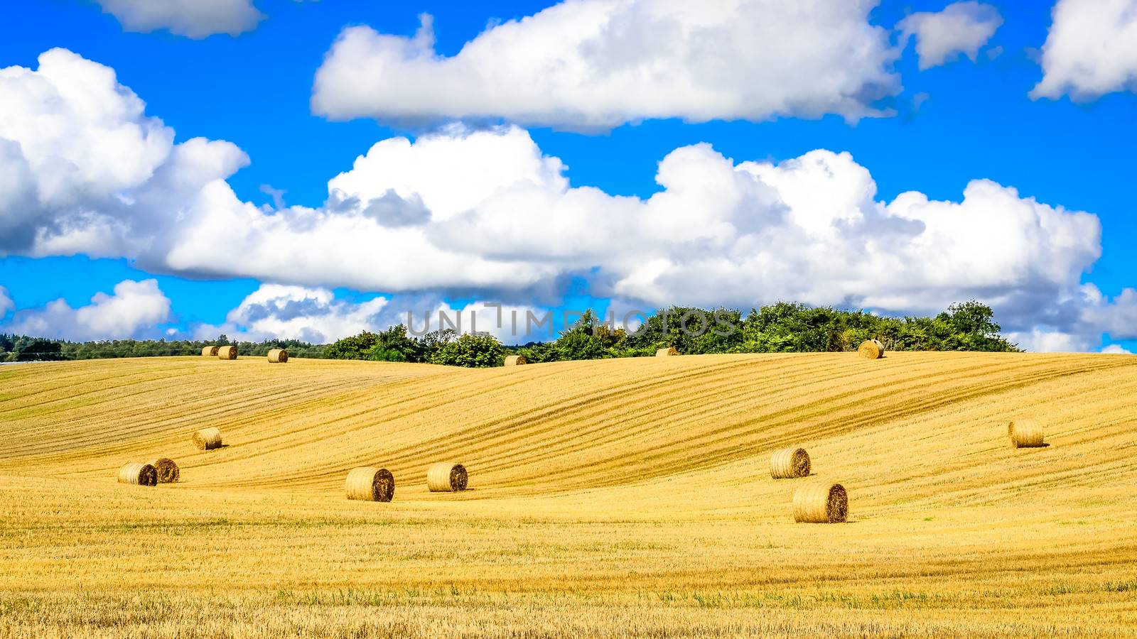 Wheat field with straw bales and blue cloudy sky by martinm303