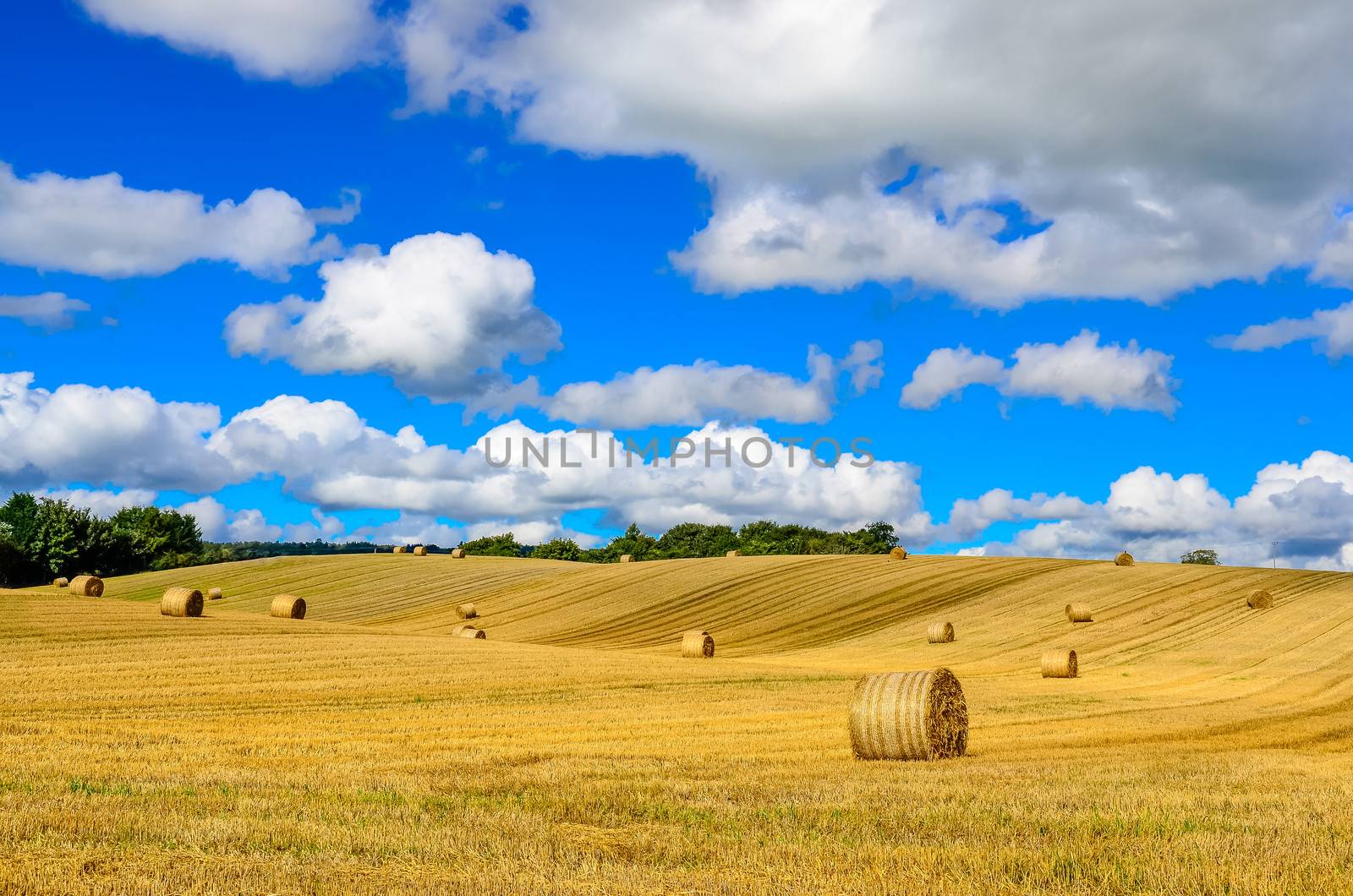 Curvy barley field with straw bales and blue cloudy sky by martinm303