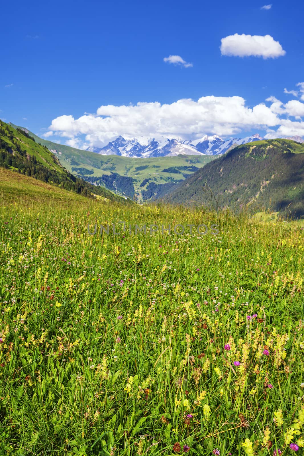 french Alps in summer by vwalakte