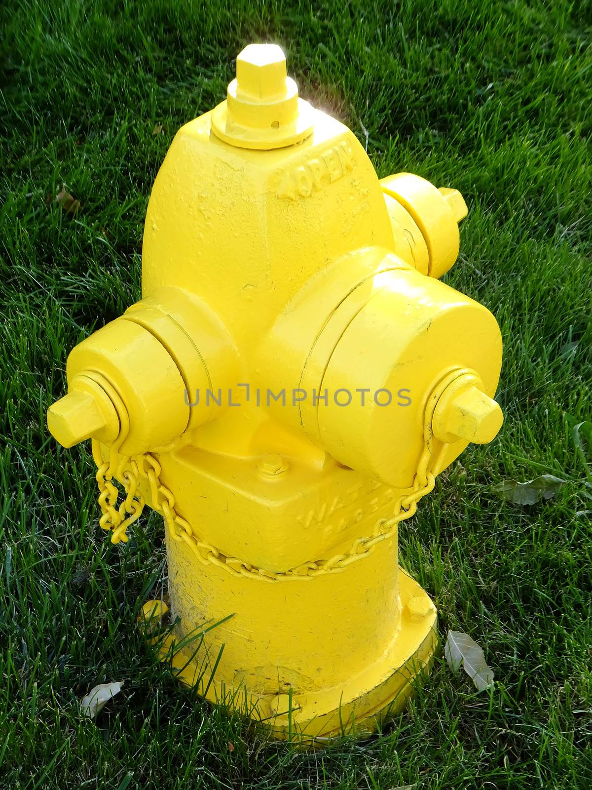 Yellow fire hydrant on green grass