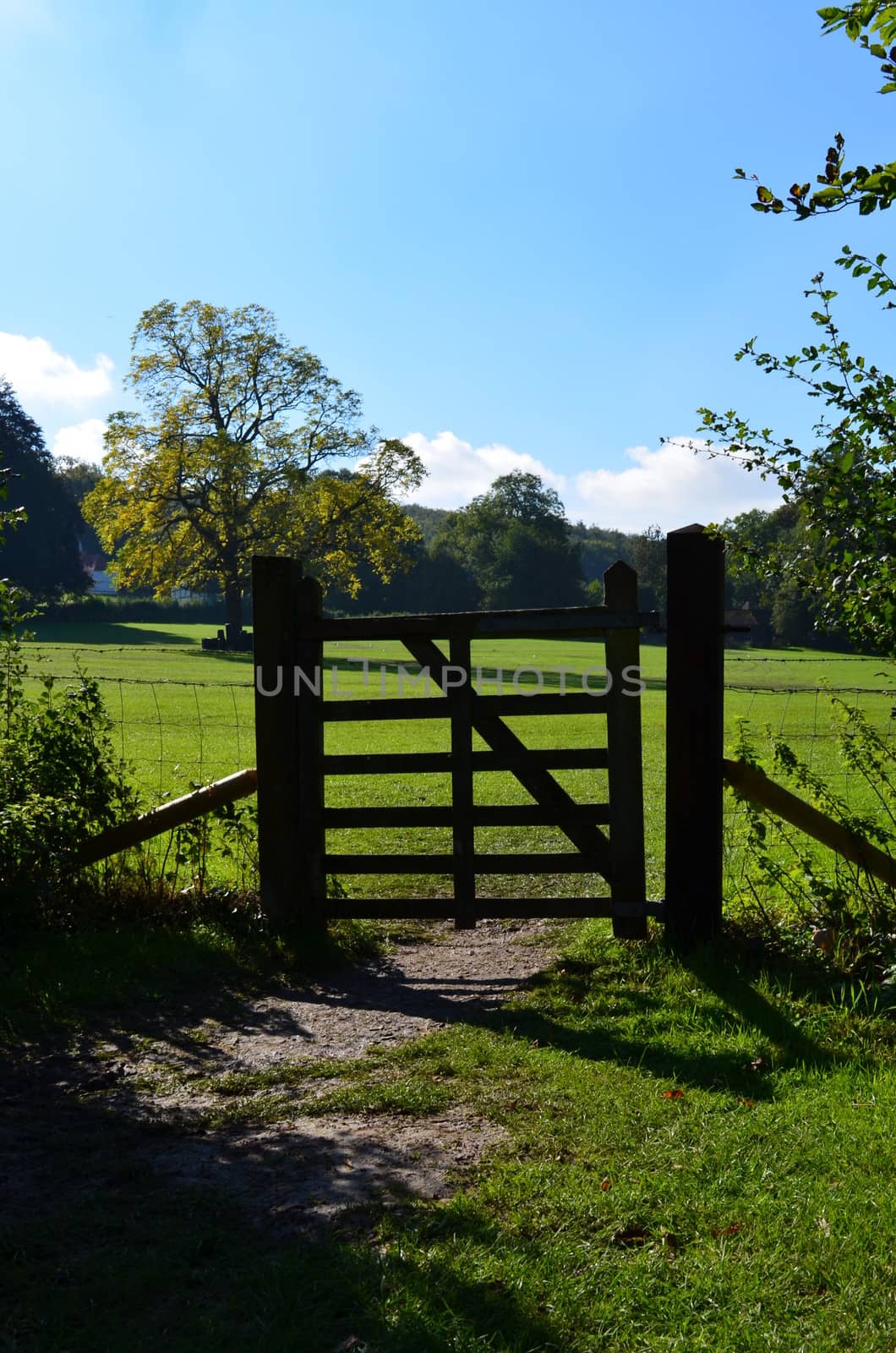 Rustic countryside wooden gate with a pasture field in the distance.