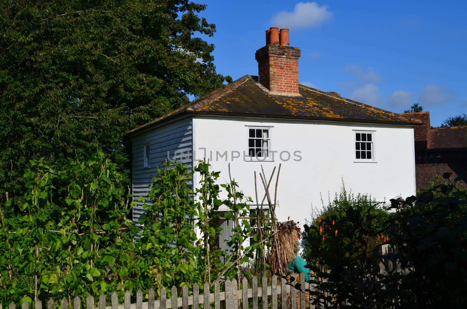 19th century English cottage with vegetable garden.