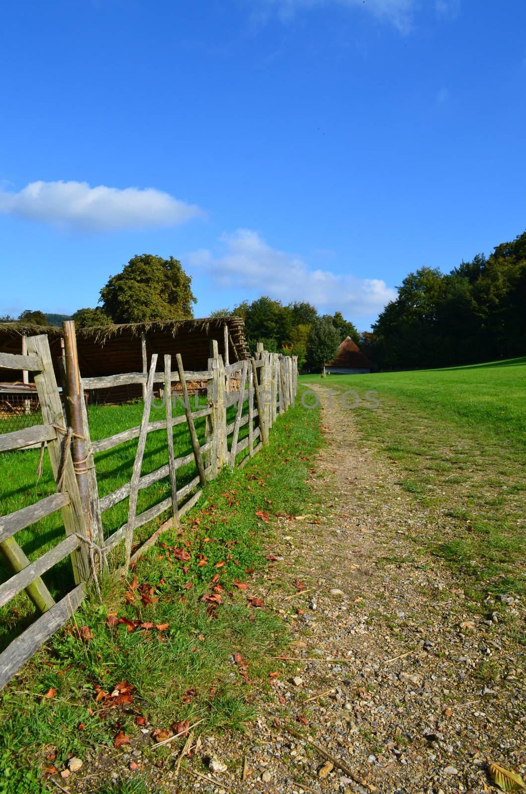 Rustic wooden pasture fencing in the County of Hampshire,England.