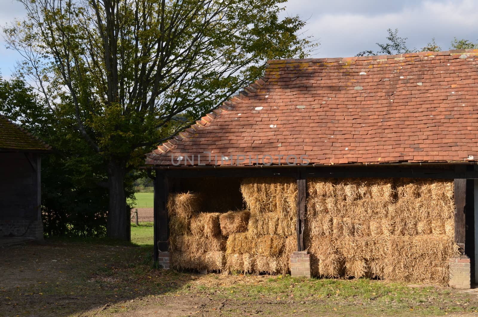 Timber framed open sided English barn stacked with hay.