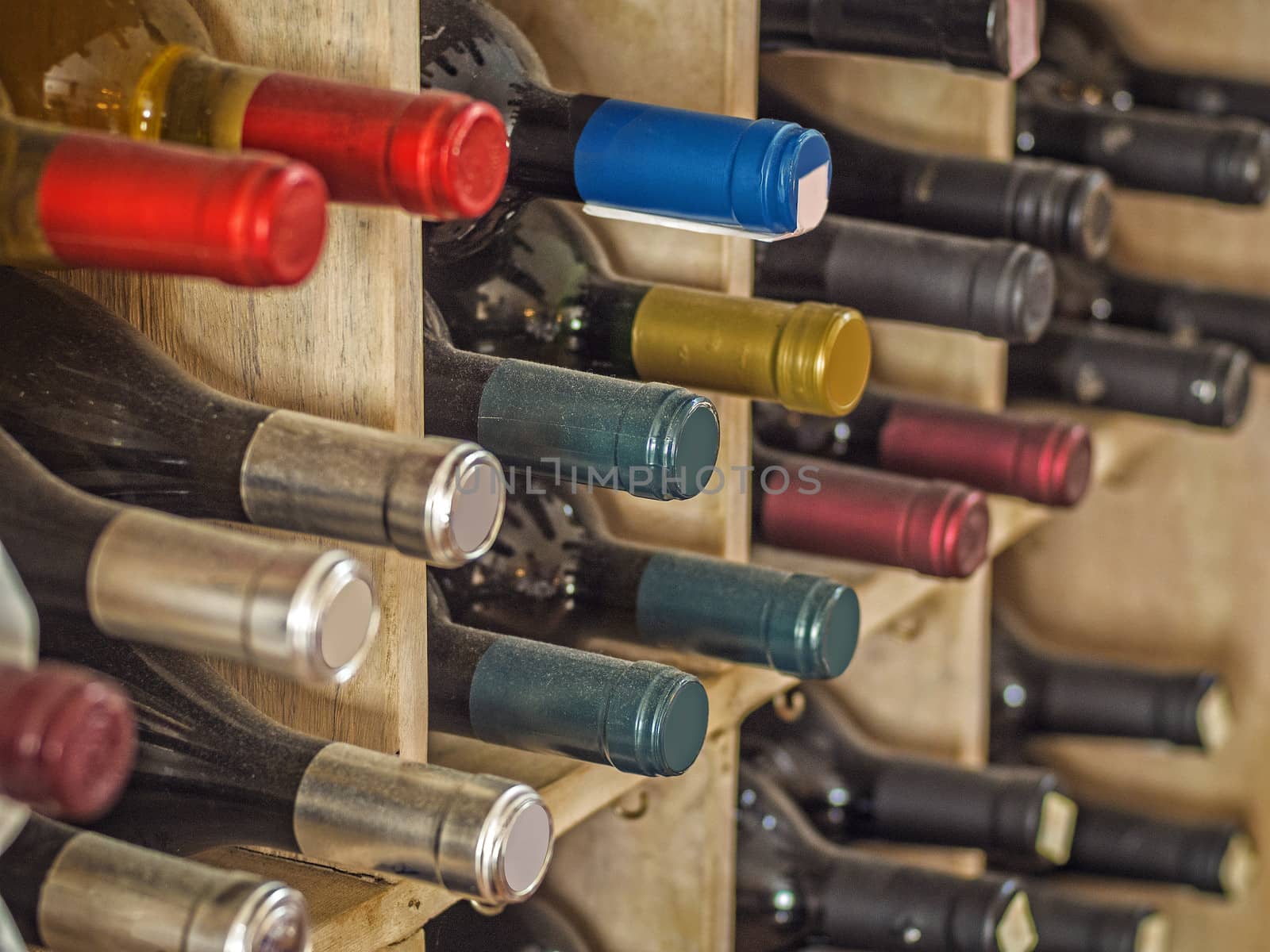 wine bottles in a rack by f/2sumicron