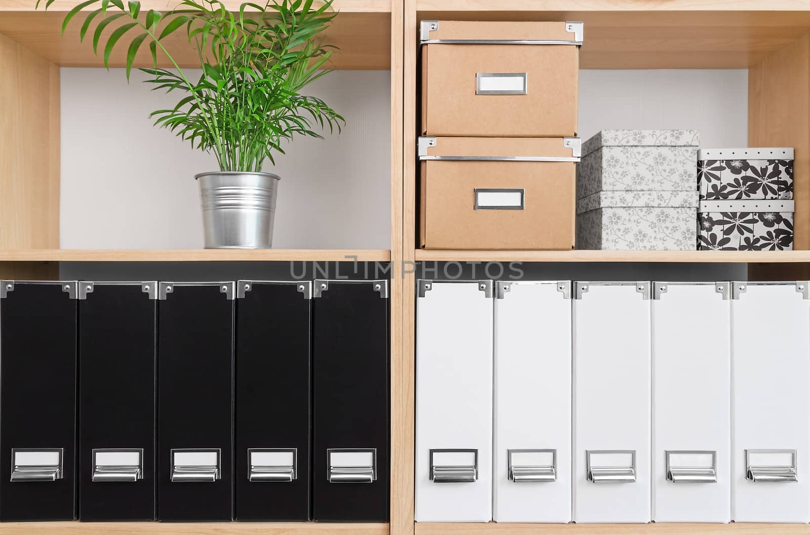 Shelves with storage boxes, black and white folders, and green plant.