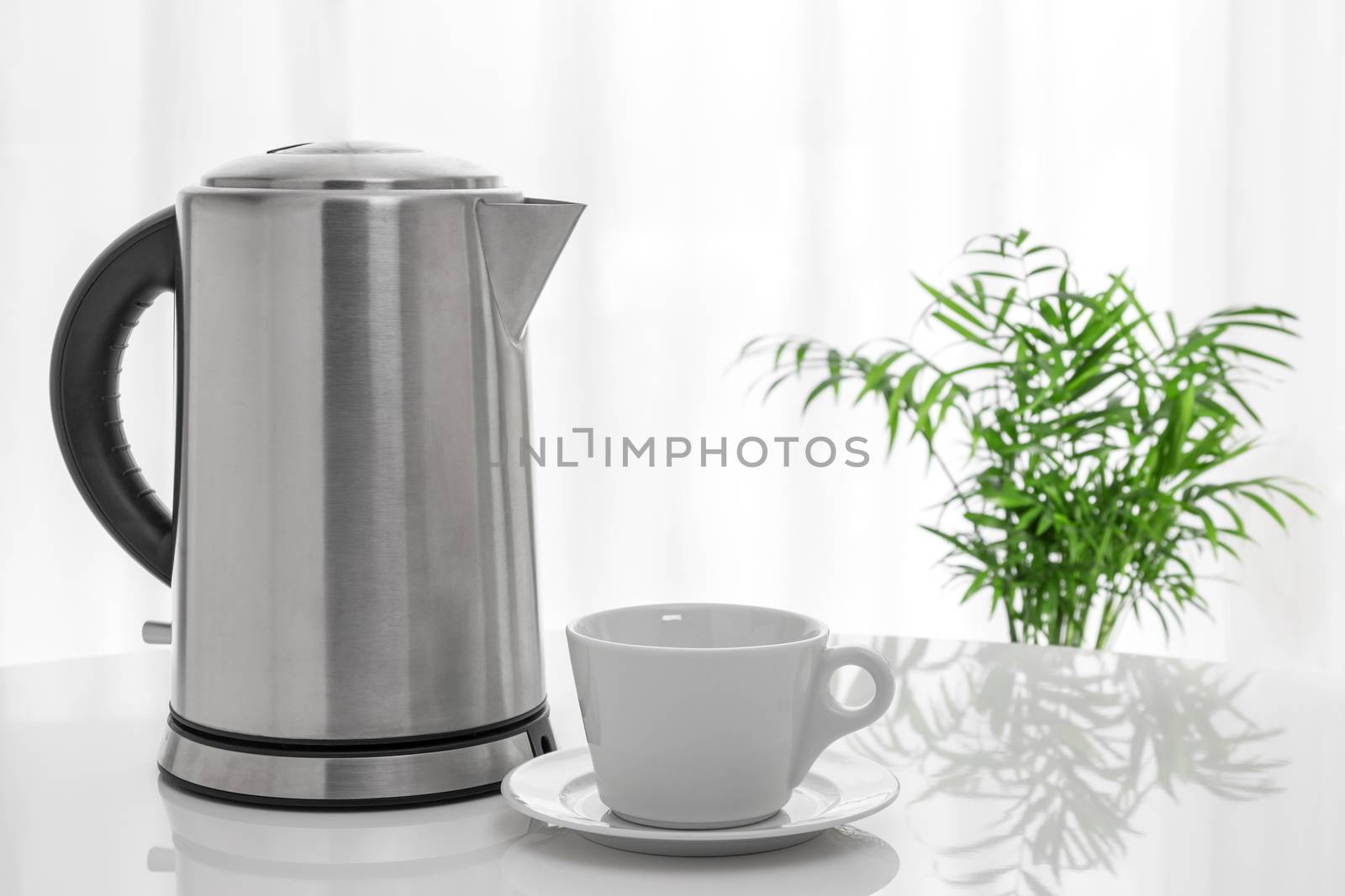 White cup and electric kettle on the table, with green plant in the background.