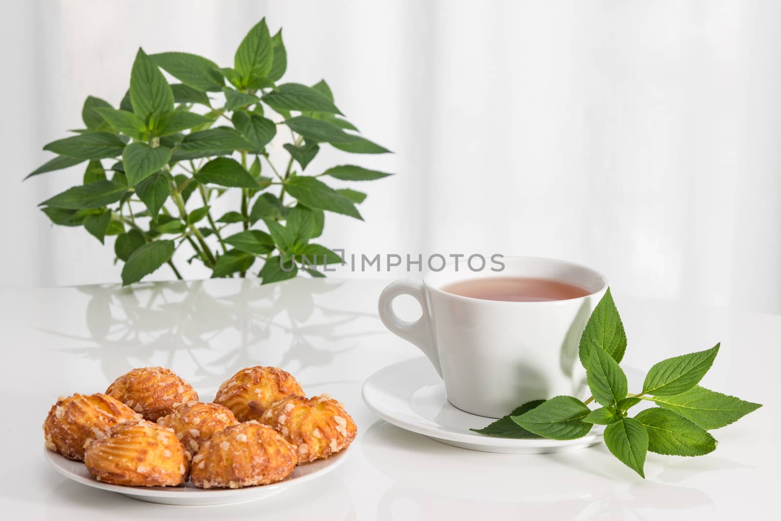 Tea in glass cups, fresh mint and tasty cookies.