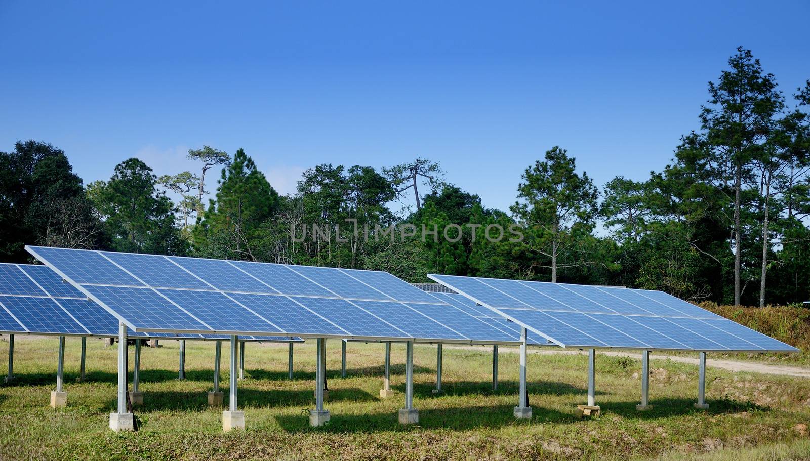Solar cell in the forest at Phu Kradueng National Park, Thailand
