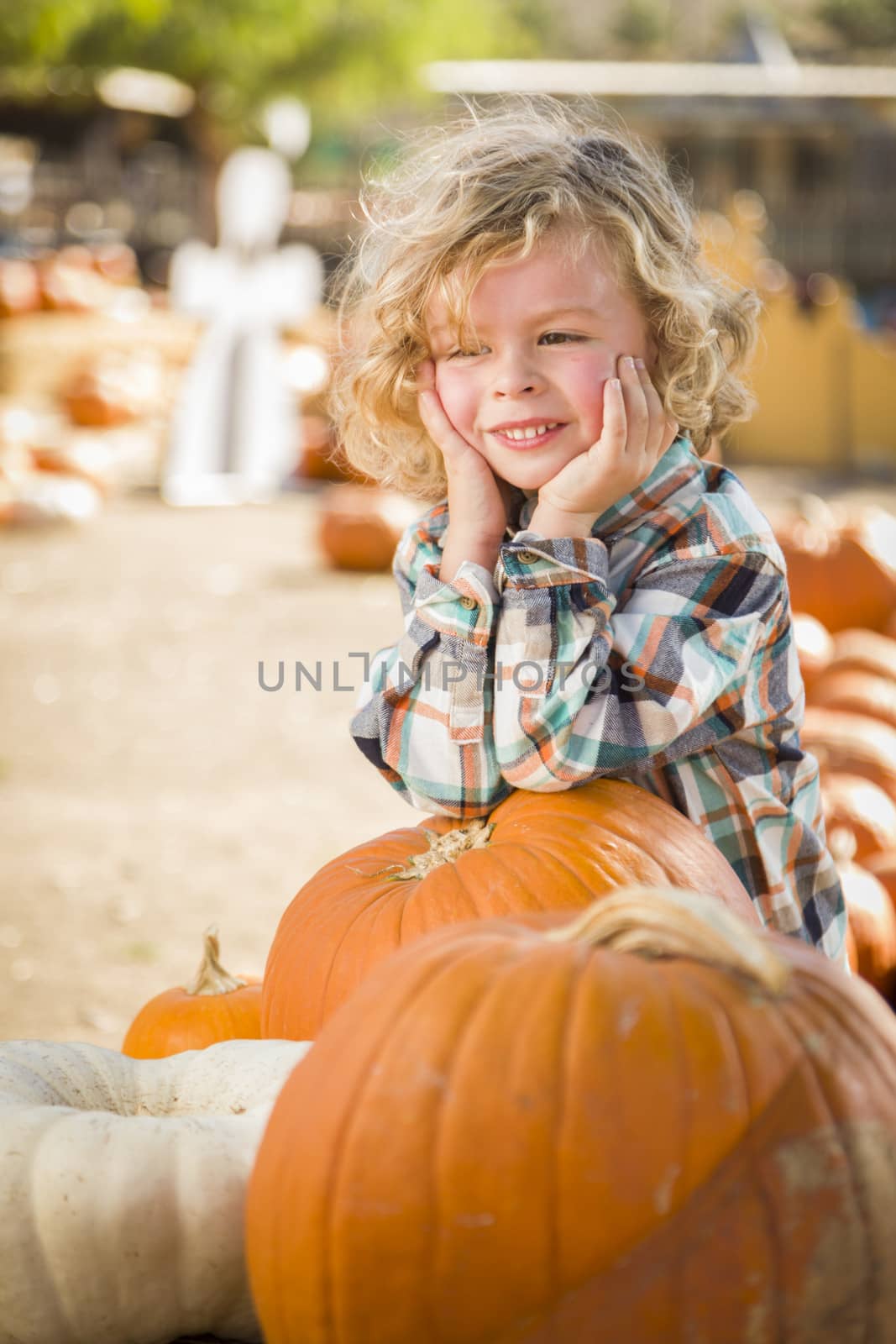 Little Boy Smiles While Leaning on Pumpkin at Pumpkin Patch by Feverpitched